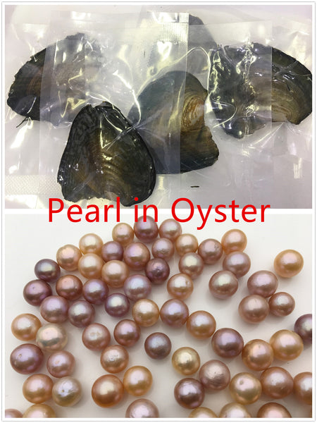 New!AA+ 9-12mm Round Edison Pearl in Oyster,Bulk wholesale,pearl oysters,wish pearl,vacuum-packed,single pearl in oyste